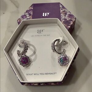 BP February 2024 Silver and Purple Earrings